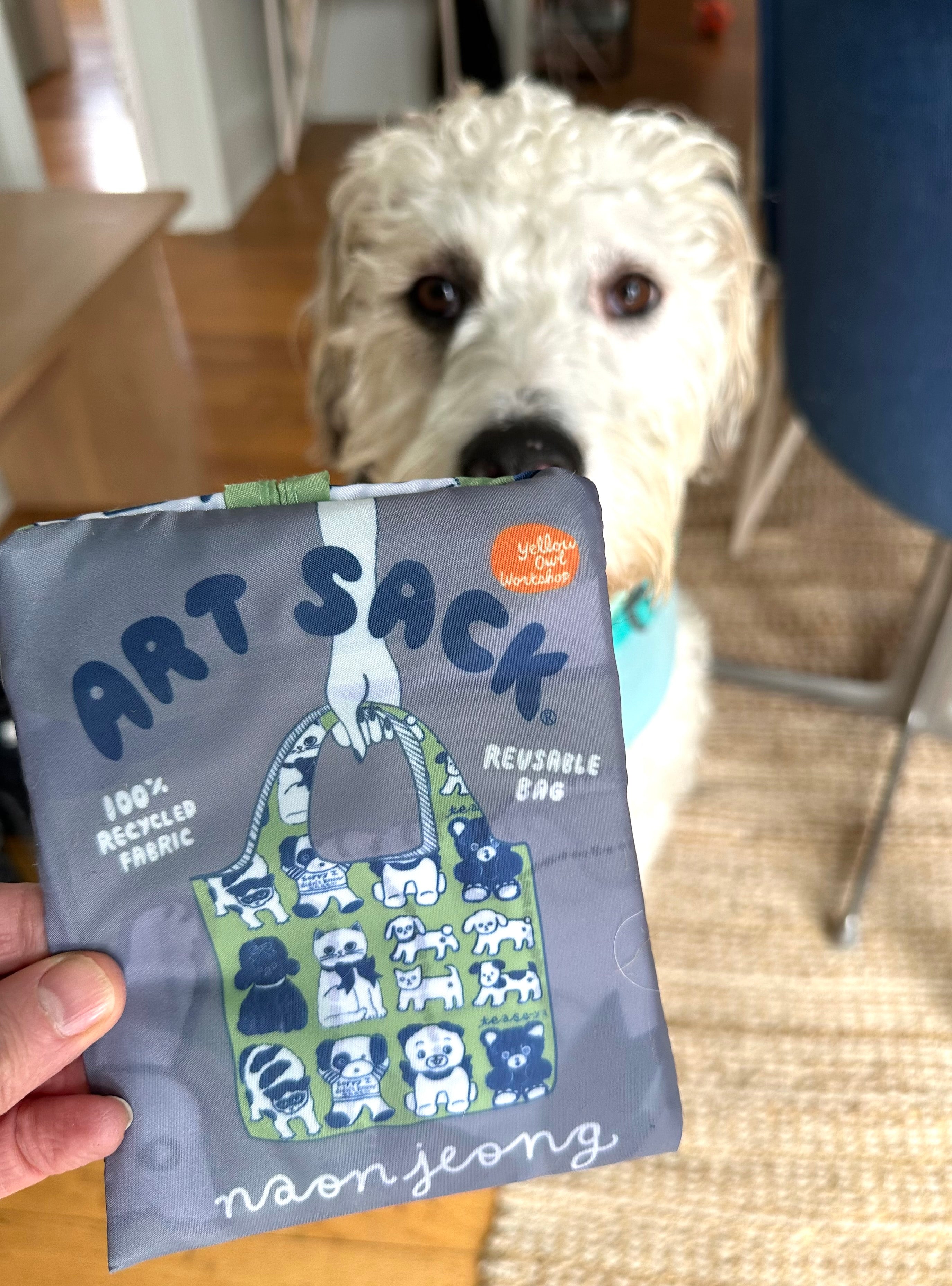 Holiday Gift Bundle w/ Naon Jeong Art Sack and Rollbahn Notebook