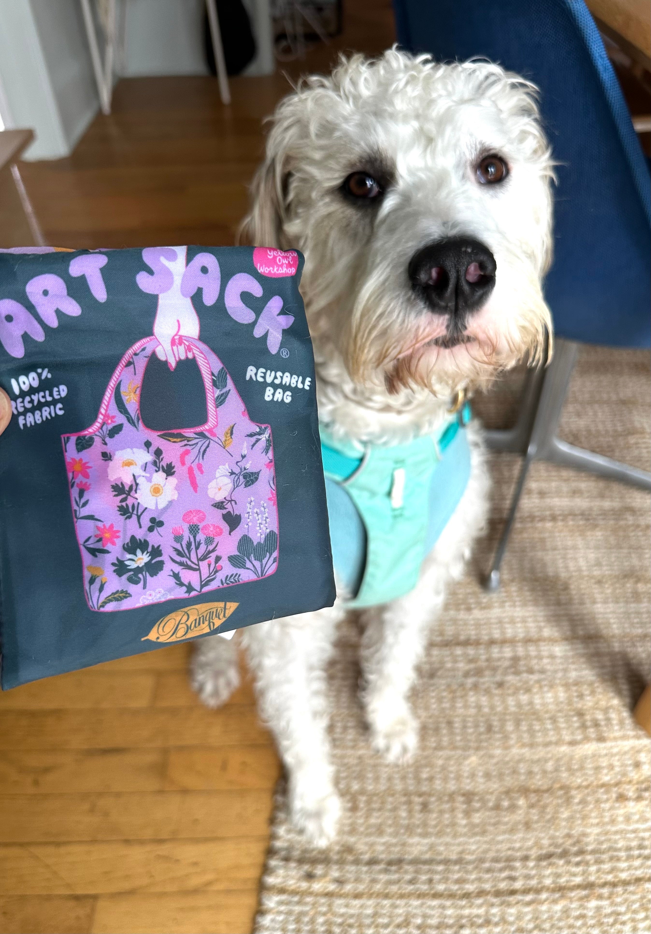 Holiday Gift Bundle w/ Banquet Workshop Floral Art Sack and Onsen Saru Bath Fizz