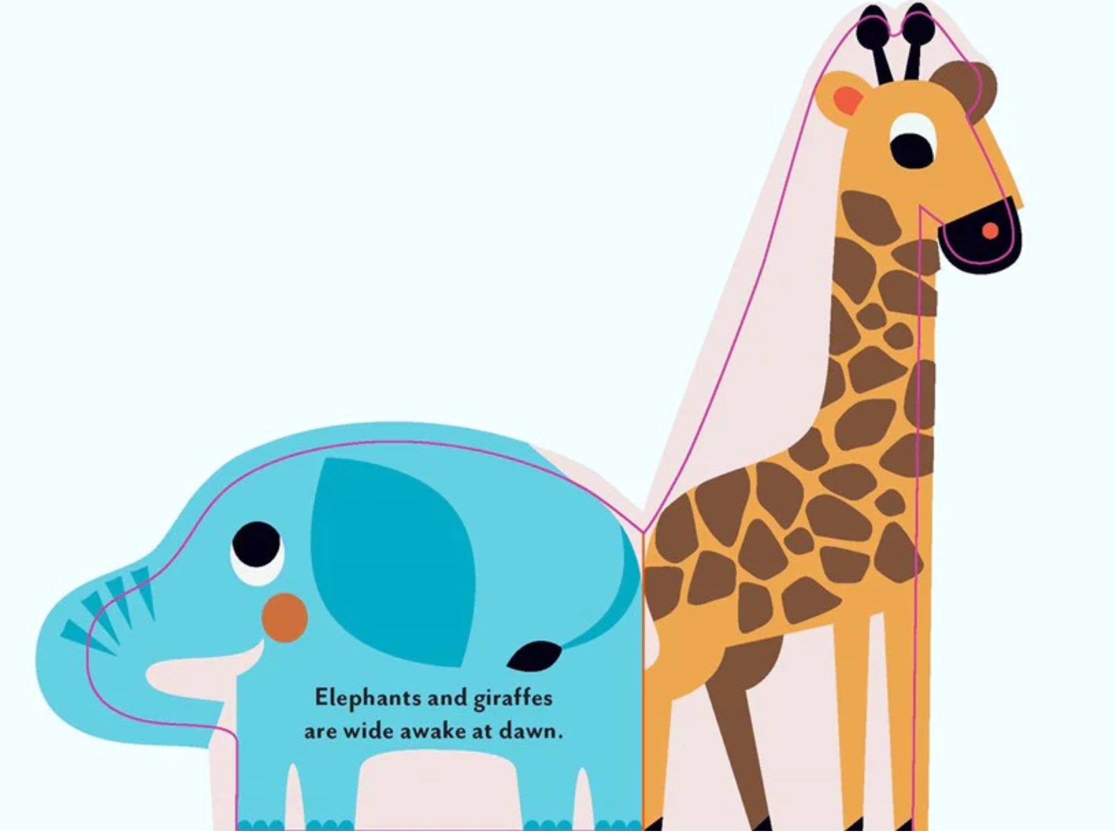 Wild Animals (Boardscape Books)