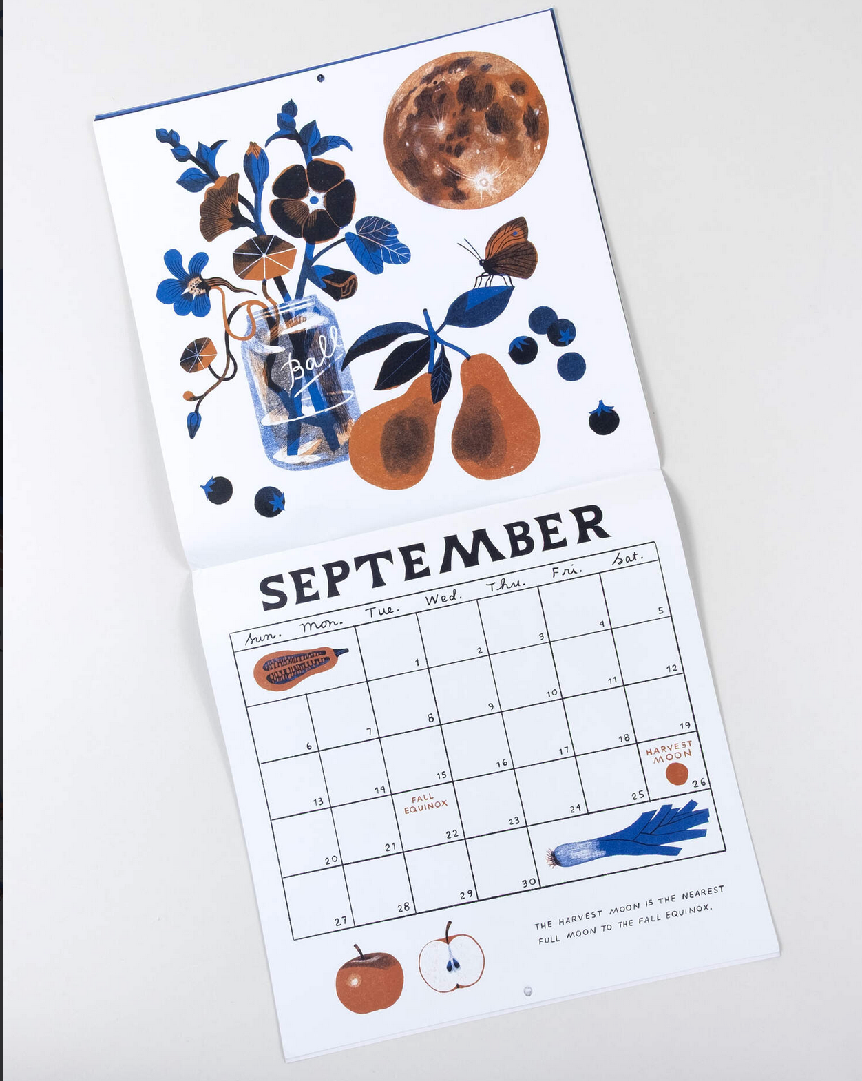 2025 Carson Ellis Moon Calendar