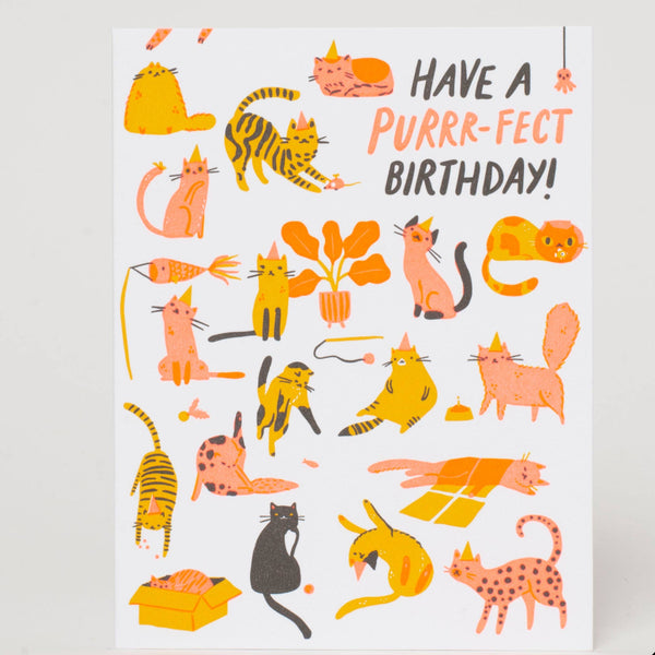 Have a Purr-fect Birthday Cat Card