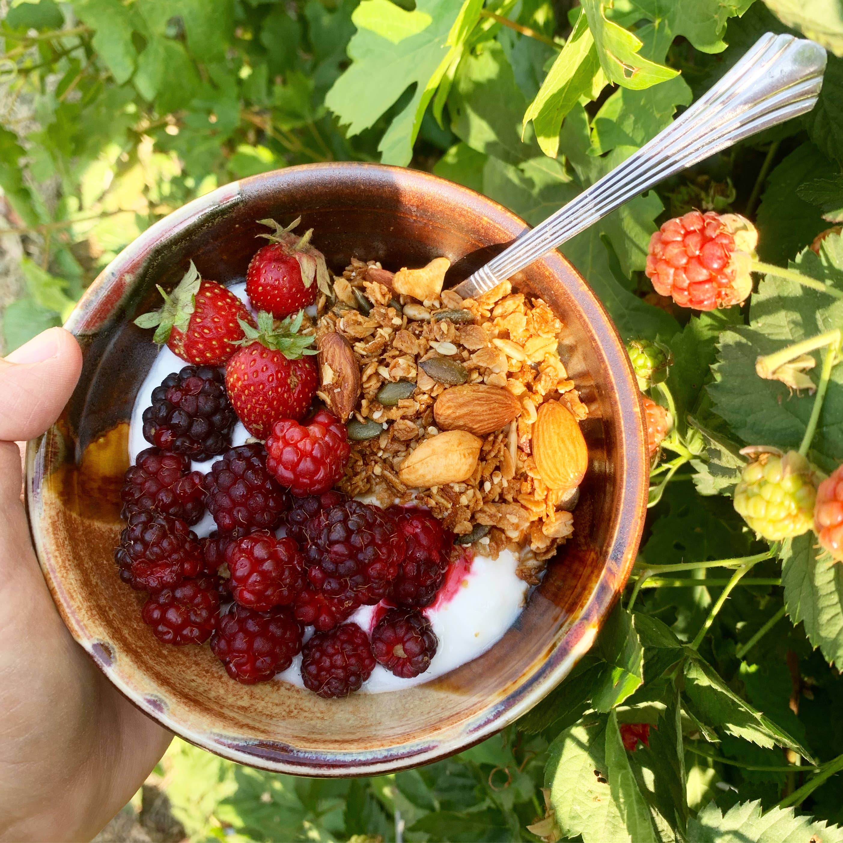 Bearclaw Kitchen Honey Run Granola – 2oz Gift Size