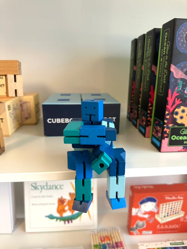 Cubebot Capsule Collection Small - Blue Multi