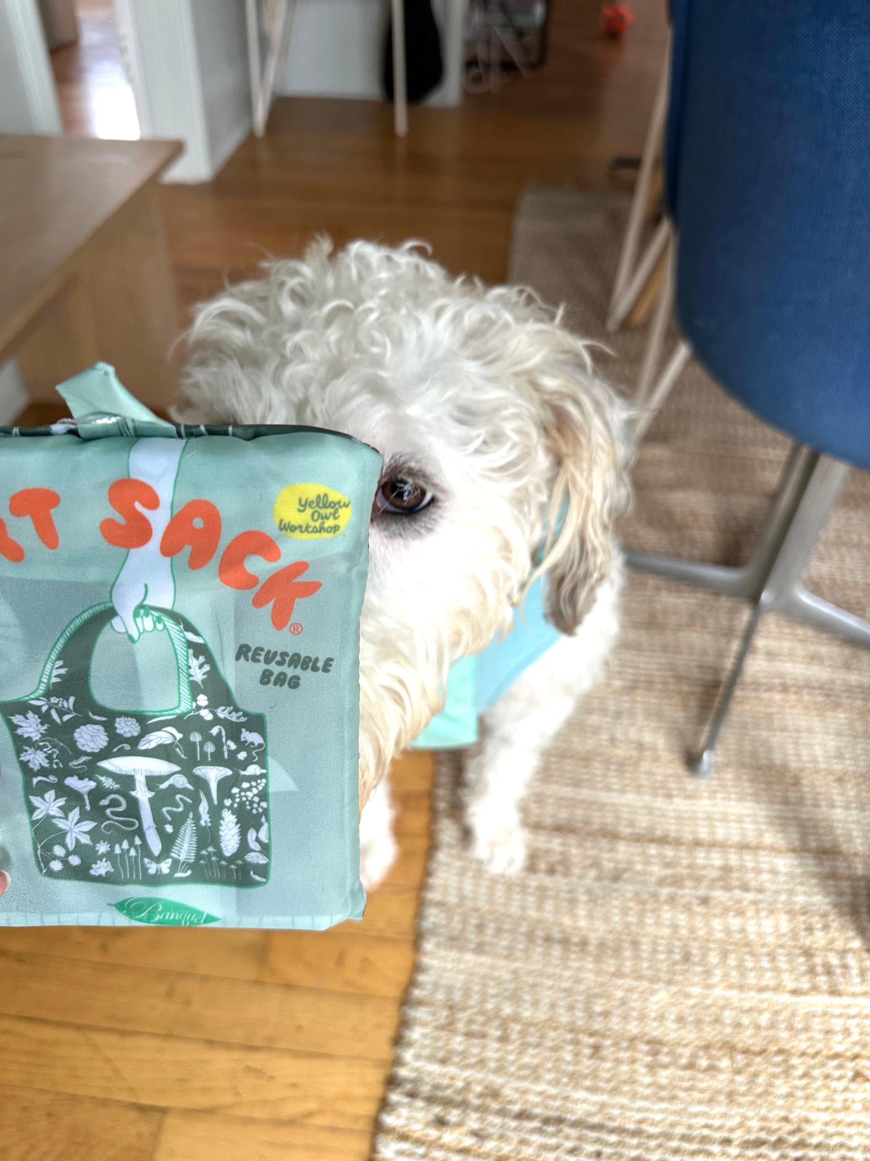 Holiday Gift Bundle w/ Banquet Workshop Forest Art Sack & Rollbahn Notebook