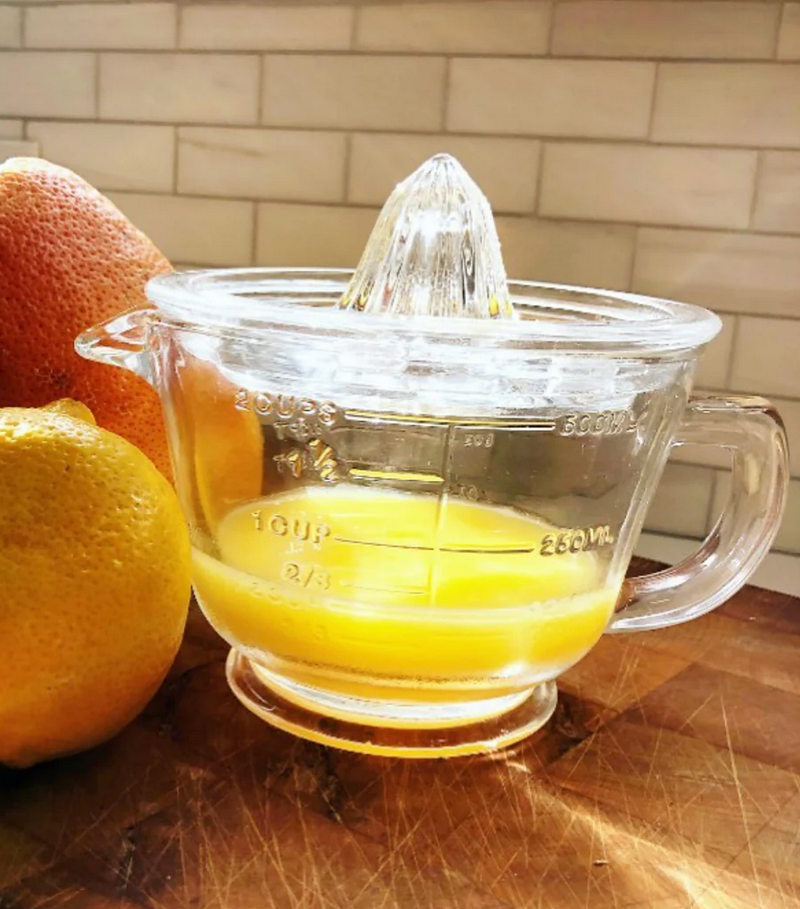 Earth & Nest Glass Juicer with Measuring Cup