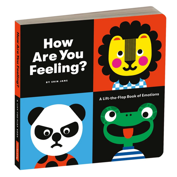 How Are You Feeling Board Book