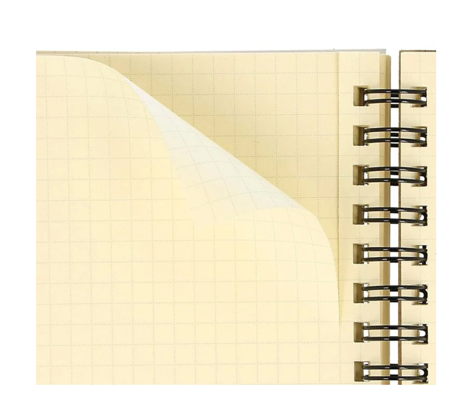 Delfonics Rollbahn Spiral Notebook –  Black (mini memo or large)