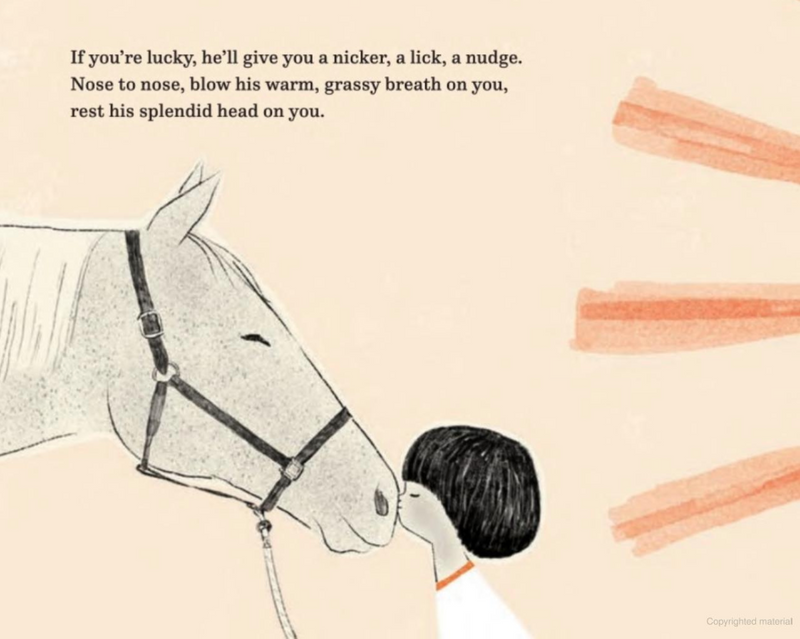 If You Want to Ride a Horse by Amy Novesky