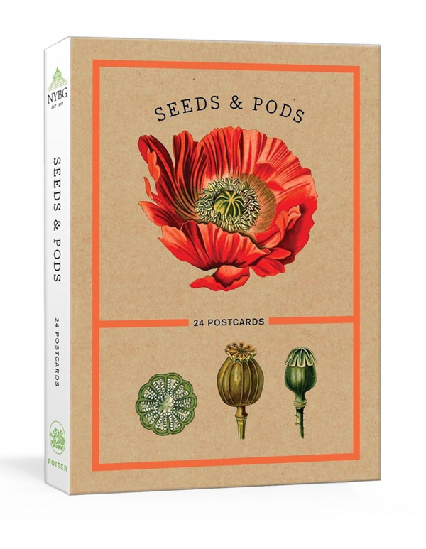 Seeds and Pods: 24 NYBG Postcards