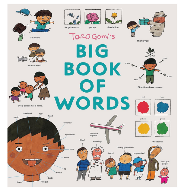 Taro Gomi's Big Book of Words