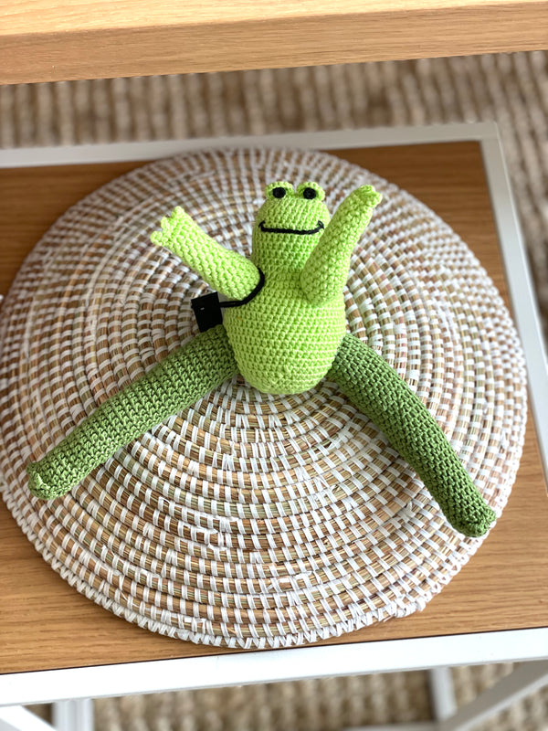Ware of the Dog Hand Crocheted Frog Dog Toy