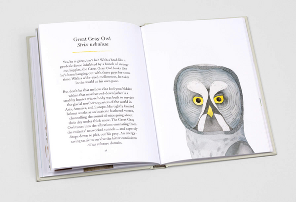 Owls – by Matt Sewell