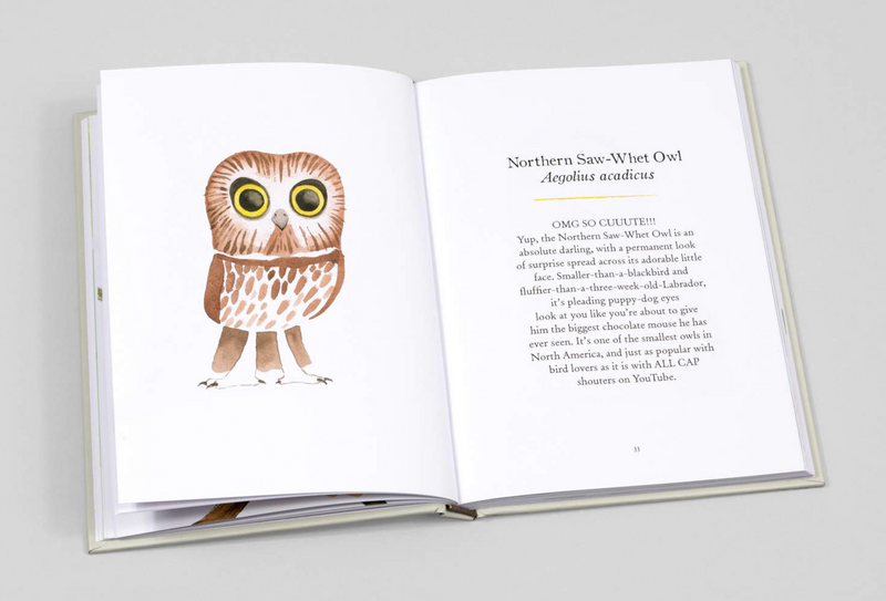 Owls – by Matt Sewell