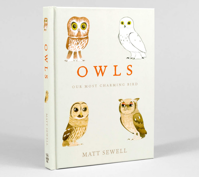 Owls – by Matt Sewell