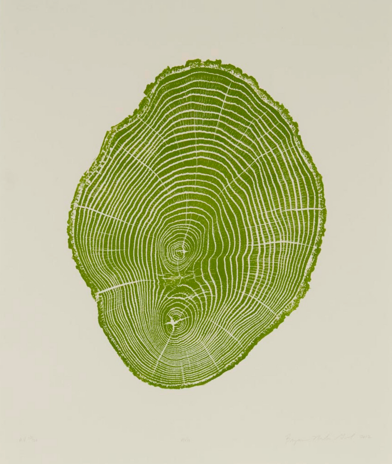 Woodcut Book – by Bryan Nash Gill